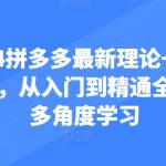 2024拼多多最新理论+实操干货，从入门到精通全链路多角度学习-梦帆创业网