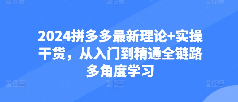 2024拼多多最新理论+实操干货，从入门到精通全链路多角度学习-梦帆创业网