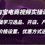 淘宝电商视频实操课，零基础学习选品、开店、产品上架、价格设置、优惠方式选择等-梦帆创业网