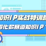 知识IP实战特训营，​孵化-多赛道知识IP（33节课）-梦帆创业网