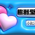 小红书膨胀壁纸项目玩法，女生最爱的壁纸，0门槛新手也可操作日入300+-梦帆创业网