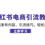 小红书电商引流教程：从基础操作到发布内容，引流技巧，轻松打造爆款产品-梦帆创业网