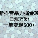 最新抖音暴力掘金项目，日涨万粉，一单变现500+-梦帆创业网