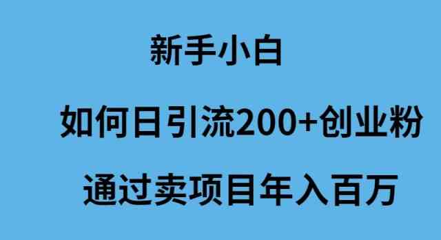 （9668期）新手小白如何日引流200+创业粉通过卖项目年入百万-梦帆创业网