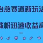治愈赛道新玩法，治愈文案结合奶奶形象，涨粉迅速收益高【揭秘】-梦帆创业网