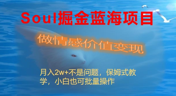 Soul掘金蓝海项目细分赛道，做情感价值变现，月入2w+不是问题-梦帆创业网