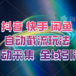 快手、抖音、闲鱼自动截流玩法，利用一个软件自动采集、评论、点赞、私信，全域引流-梦帆创业网