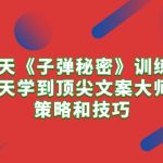 （10209期）21天《子弹秘密》训练营，21天学到顶尖文案大师的策略和技巧-梦帆创业网