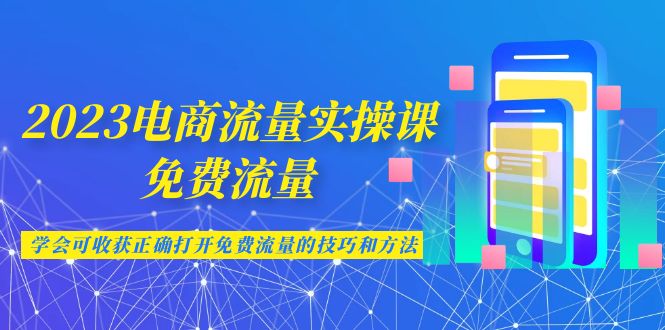 2023电商流量实操课-免费流量，学会可收获正确打开免费流量的技巧和方法-梦帆创业网