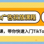 （10731期）TikTok广告投放课程，从0-1实战课，带你快速入门TikTok广告投放（30节课）-梦帆创业网