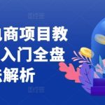 小红书电商项目教程，0-1入门全盘玩法解析-梦帆创业网
