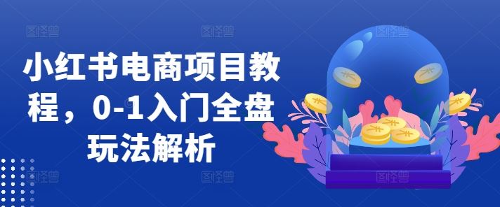 小红书电商项目教程，0-1入门全盘玩法解析-梦帆创业网