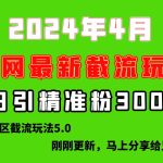 （10179期）刚刚研究的最新评论区截留玩法，日引流突破300+，颠覆以往垃圾玩法，比…-梦帆创业网