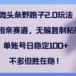 微头条野路子2.0玩法之相亲赛道，无脑复制粘贴，单账号日稳定100+，不…-梦帆创业网