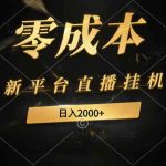 （9841期）新平台直播挂机最新玩法，0成本，不违规，日入2000+-梦帆创业网