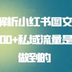全面解析小红书图文引流日引100+私域流量是怎样做到的-梦帆创业网