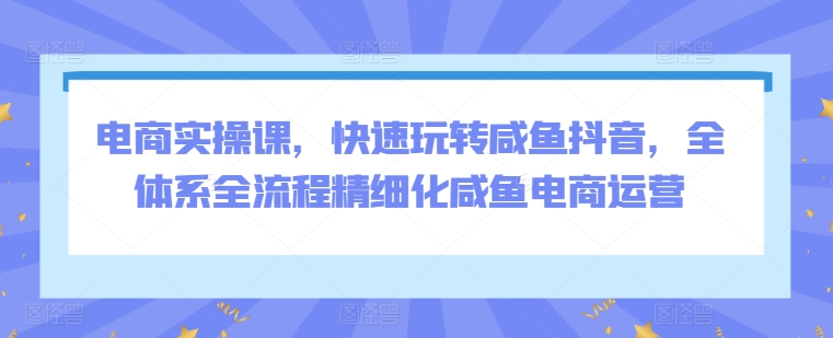 电商实操课，快速玩转咸鱼抖音，全体系全流程精细化咸鱼电商运营-梦帆创业网