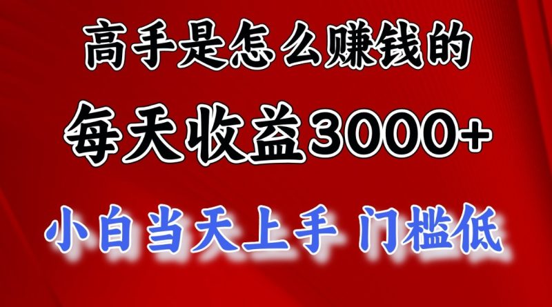 高手是怎么赚钱的,一天收益3000+,闷声发财项目,不是一般人能看懂的-梦帆创业网