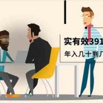 （9607期）真实有效391套商业模式，年入几十到几百万案例解析（电子书+视频+图文）-梦帆创业网