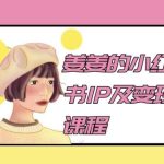 姜姜的小红书IP及变现课程，姜姜小红书2024-梦帆创业网