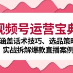 视频号运营宝典：涵盖话术技巧、选品策略、实战拆解爆款直播案例-梦帆创业网