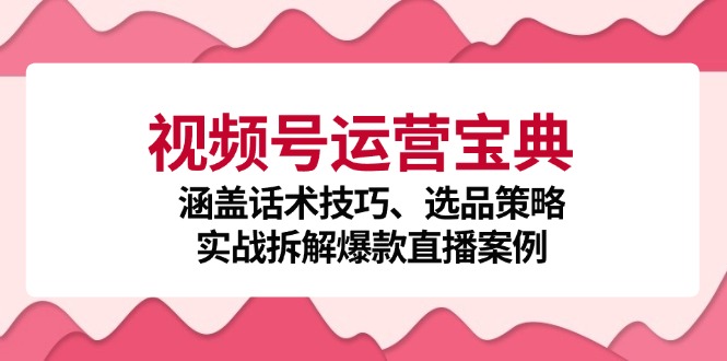 视频号运营宝典：涵盖话术技巧、选品策略、实战拆解爆款直播案例-梦帆创业网