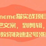 短视频meme猫实战项目，从选素材到把文案，到剪辑，手把手的教你快速起号涨粉-梦帆创业网