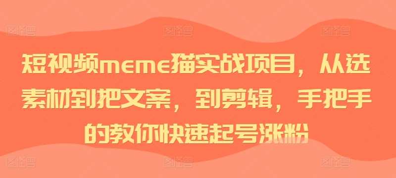 短视频meme猫实战项目，从选素材到把文案，到剪辑，手把手的教你快速起号涨粉-梦帆创业网