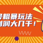 视频号粗暴玩法，一天利润大几千！-梦帆创业网