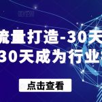 实体流量打造-30天特训营，30天成为行业标杆-梦帆创业网