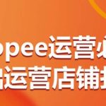 Shopee运营必备基础运营店铺打造，多层次的教你从0-1运营店铺-梦帆创业网
