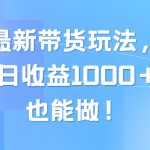 （10858期）视频号最新带货玩法，流量爆炸，单日收益1000＋，0粉也能做！-梦帆创业网