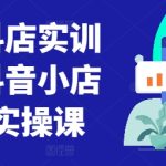 童装抖店实训营，抖音小店入门实操课-梦帆创业网