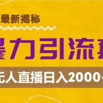 （12800期）超暴力引流套路，无人直播日入2000+-梦帆创业网