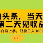 AI撸头条，轻松日入3000+，当天起号，第二天见收益。-梦帆创业网