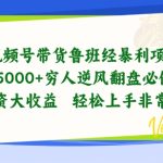 视频号带货鲁班经暴利项目，穷人逆风翻盘必做项目，0投资大收益轻松上手非常稳定-梦帆创业网