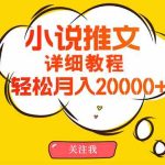 （10000期）简单操作，月入20000+，详细教程！小说推文项目赚钱秘籍！-梦帆创业网