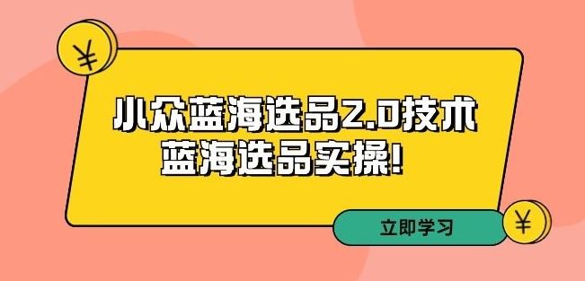 拼多多培训第33期：小众蓝海选品2.0技术-蓝海选品实操！-梦帆创业网