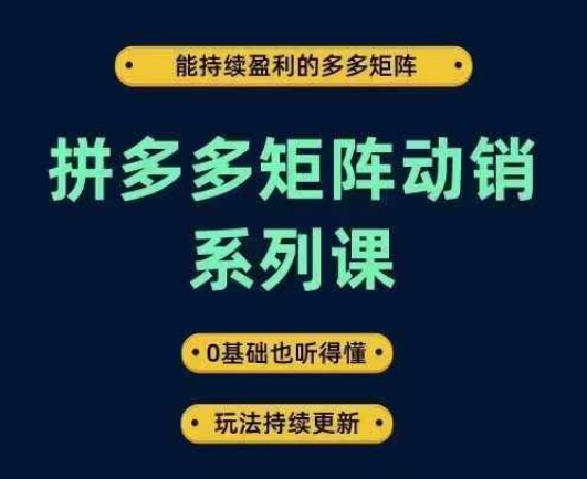 拼多多矩阵动销系列课，能持续盈利的多多矩阵，0基础也听得懂，玩法持续更新-梦帆创业网
