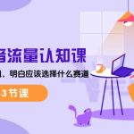 （10713期）2024抖音流量·认知课：掌握流量底层逻辑，明白应该选择什么赛道 (43节课)-梦帆创业网