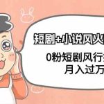 （9374期）短剧+小说风火特训营，0粉短剧风行推广，月入过万（102节课）-梦帆创业网