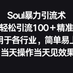 Soul暴力引流术，一天轻松引流100＋精准流量，适用于各行业，简单易上手！-梦帆创业网