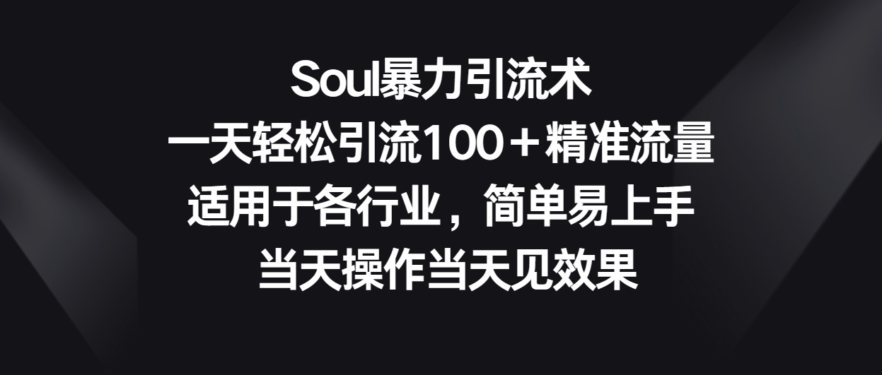 Soul暴力引流术，一天轻松引流100＋精准流量，适用于各行业，简单易上手！-梦帆创业网