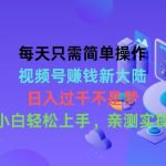 （10290期）每天只需简单操作，视频号赚钱新大陆，日入过千不是梦，小白轻松上手，…-梦帆创业网
