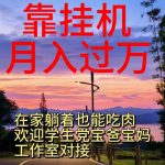 （10838期）靠挂机，日入1000+，躺着也能吃肉，适合宝爸宝妈学生党工作室，电脑手…-梦帆创业网