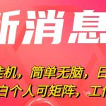 （10800期）最新电脑挂机，简单无脑，日入2000+适合新手小白个人可矩阵，工作室模…-梦帆创业网