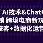 独家 AI技术&ChatGPT解锁 跨境电商新玩法，引流获客+数据化运营思维-梦帆创业网