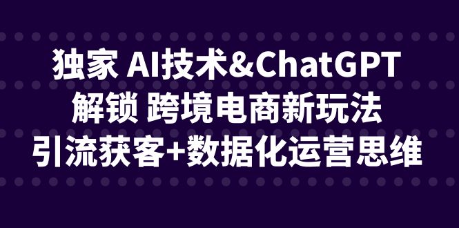 独家 AI技术&ChatGPT解锁 跨境电商新玩法，引流获客+数据化运营思维-梦帆创业网