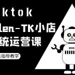 TK小店系统运营课-tiktok跨境电商教程-梦帆创业网