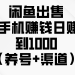（10269期）闲鱼出售二手手机赚钱，日赚500到1000（养号+渠道）-梦帆创业网